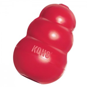 Picture of the KONG Classic