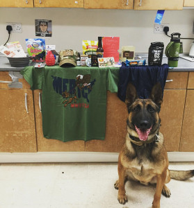 Care package contents line a kitchen counter. MWD sits on the floor in front of the counter staring intently at the camera.