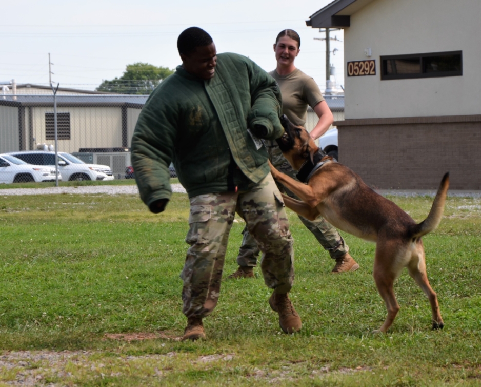 Fort Campbell and friends: kennel visit recap - MWDTSA