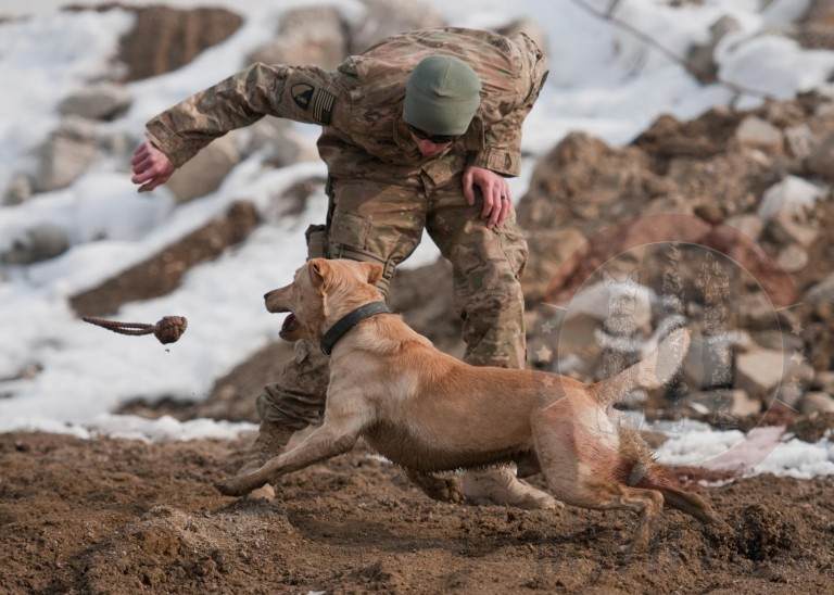 Sgt. Garrett Grenier, a dog handler, and Staff Sgt. Drake, a mine ...